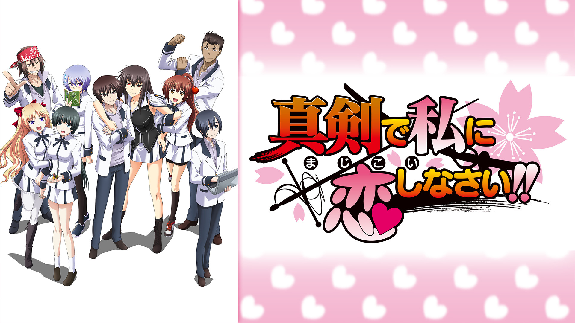 真剣で私に恋しなさい!! (放送版) - dアニメストア キービジュアル
