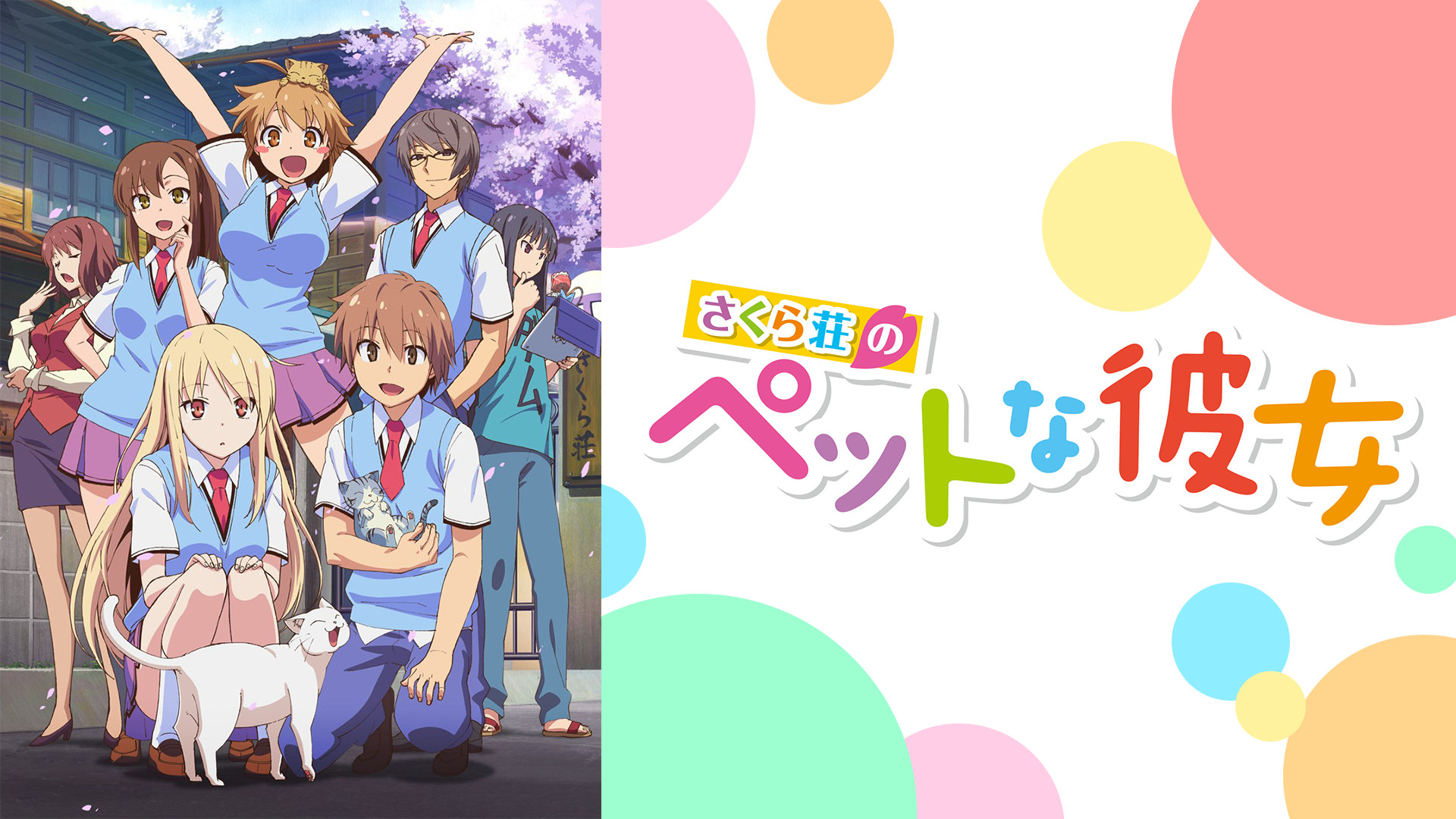 さくら荘のペットな彼女 - dアニメストア キービジュアル