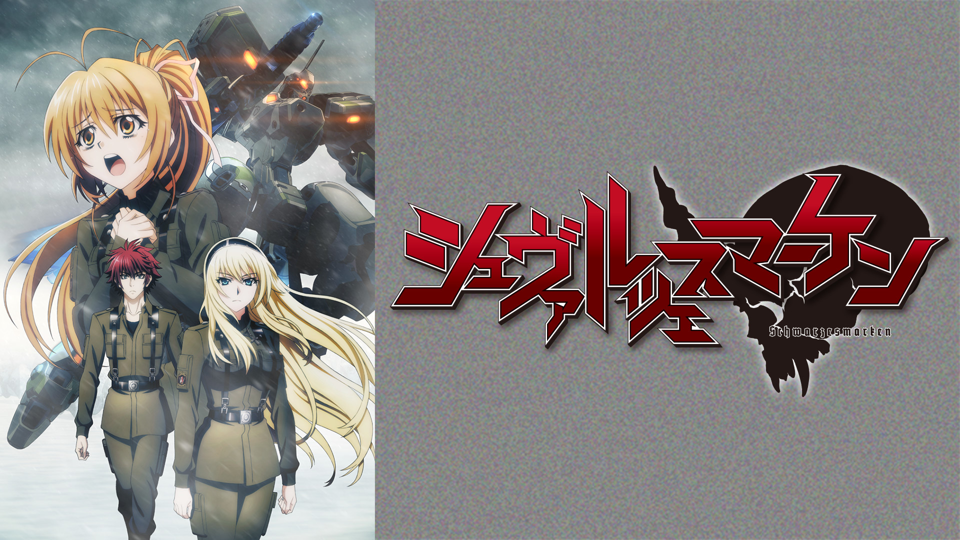 シュヴァルツェスマーケン - dアニメストア キービジュアル