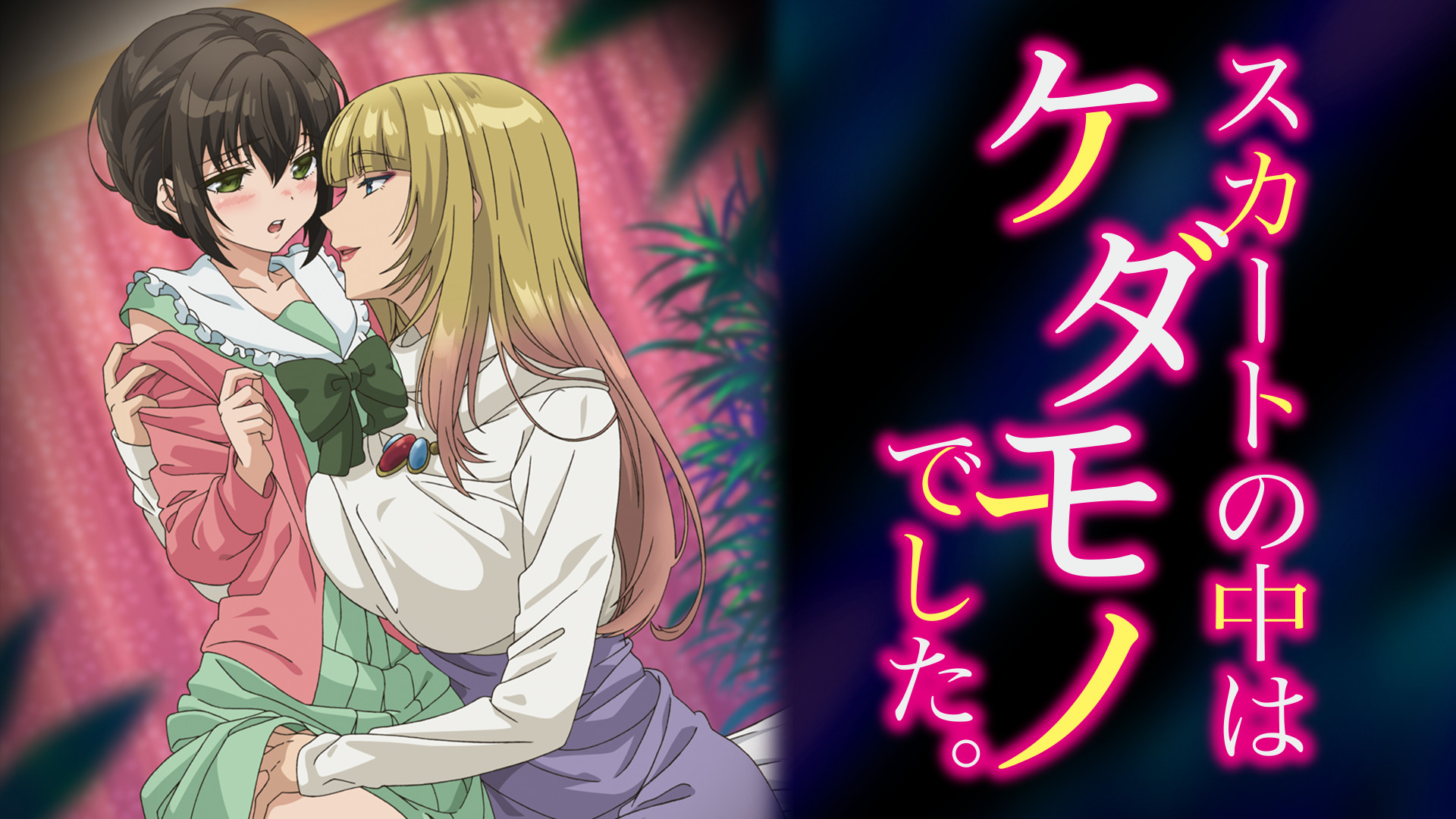 スカートの中はケダモノでした。【オンエア版】 - dアニメストア キービジュアル