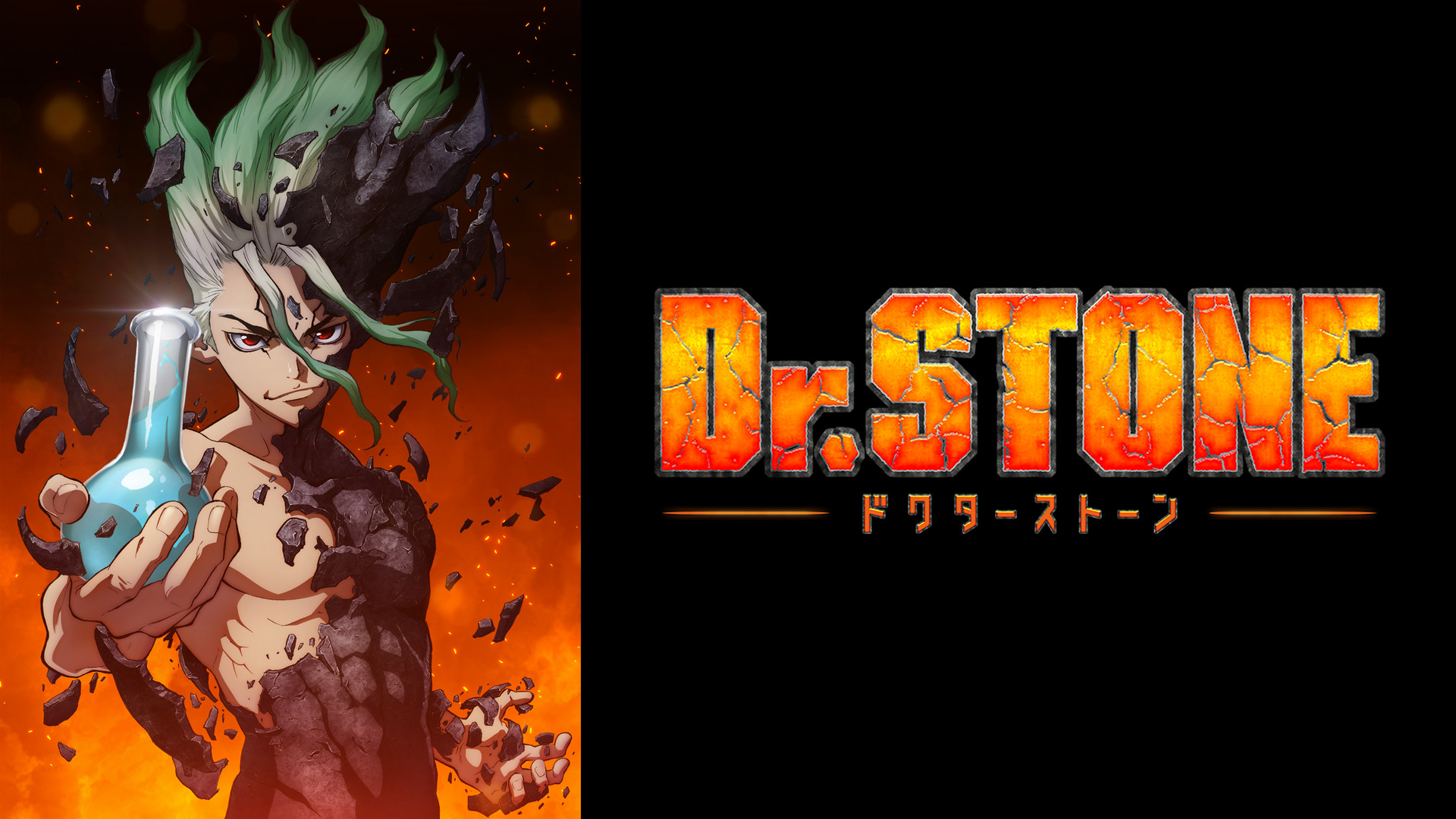 Dr.STONE(第1期) - d-anime キービジュアル