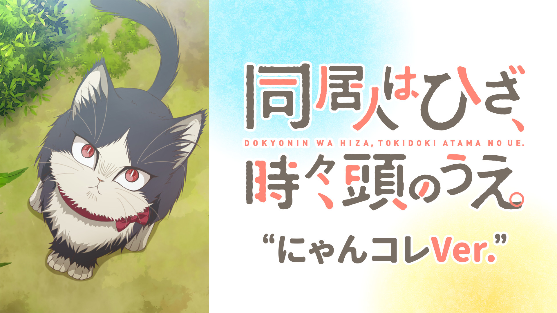 同居人はひざ、時々、頭のうえ。“にゃんコレVer.” - dアニメストア キービジュアル