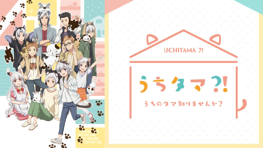うちタマ?! ～うちのタマ知りませんか？～ - dアニメストア キービジュアル