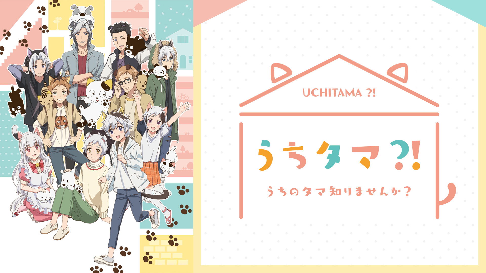 うちタマ?! ～うちのタマ知りませんか？～ - dアニメストア キービジュアル