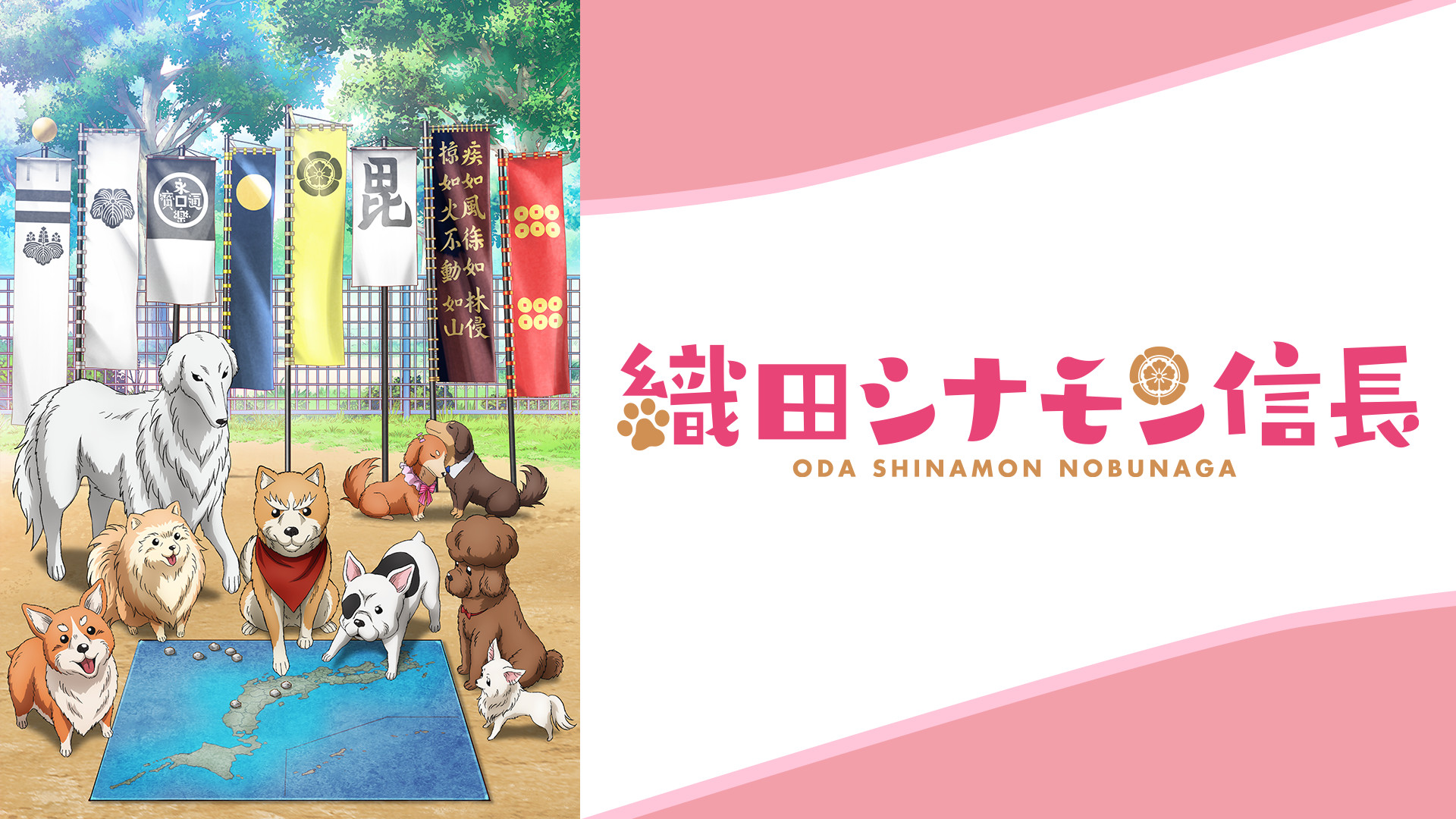 織田シナモン信長 - dアニメストア キービジュアル