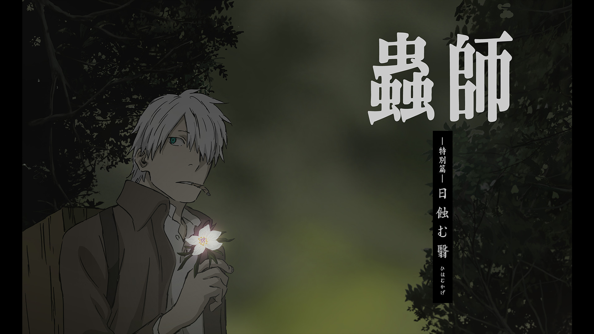 蟲師 特別篇「日蝕む翳」 - dアニメストア キービジュアル