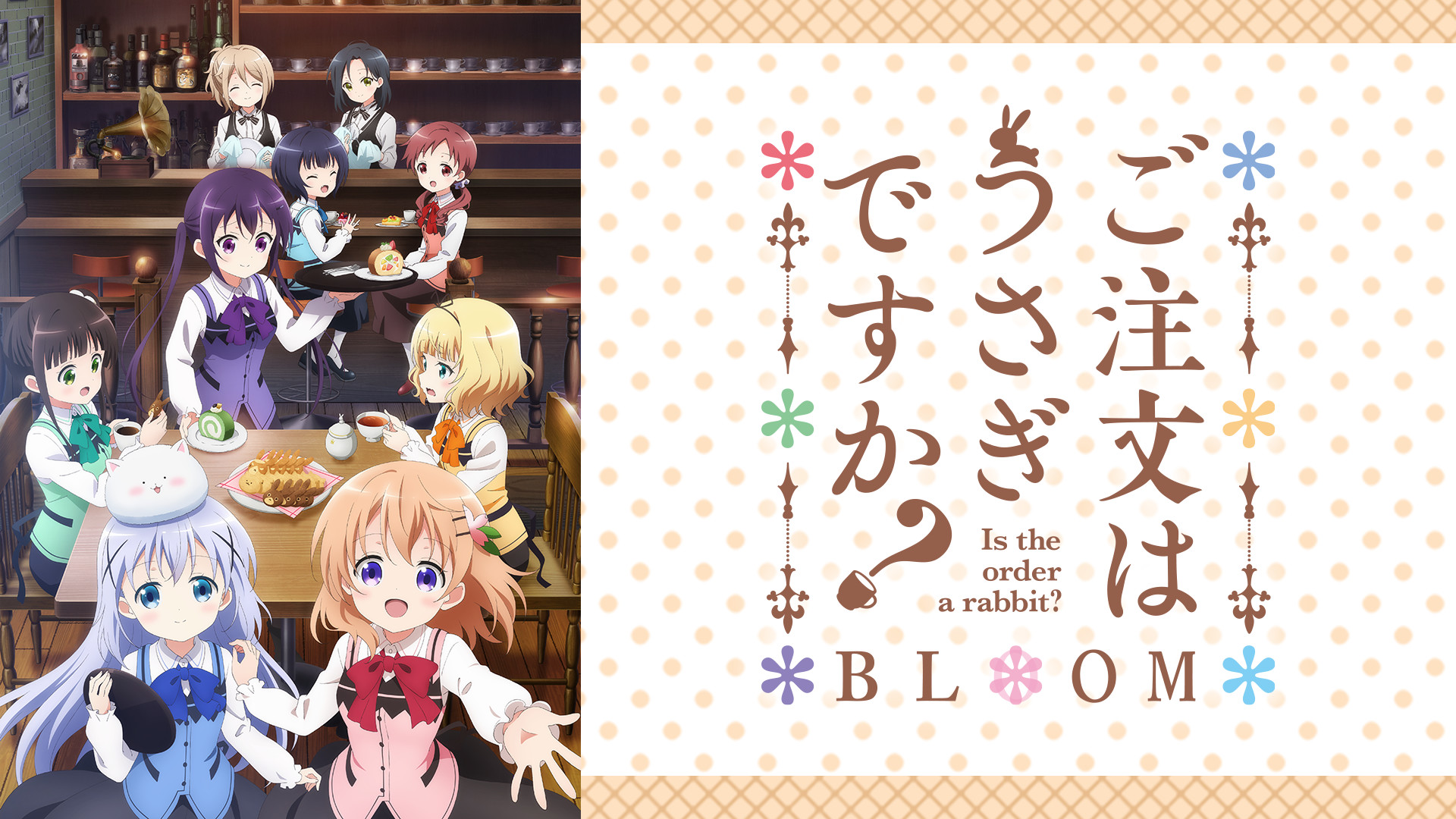 ご注文はうさぎですか? BLOOM - dアニメストア キービジュアル