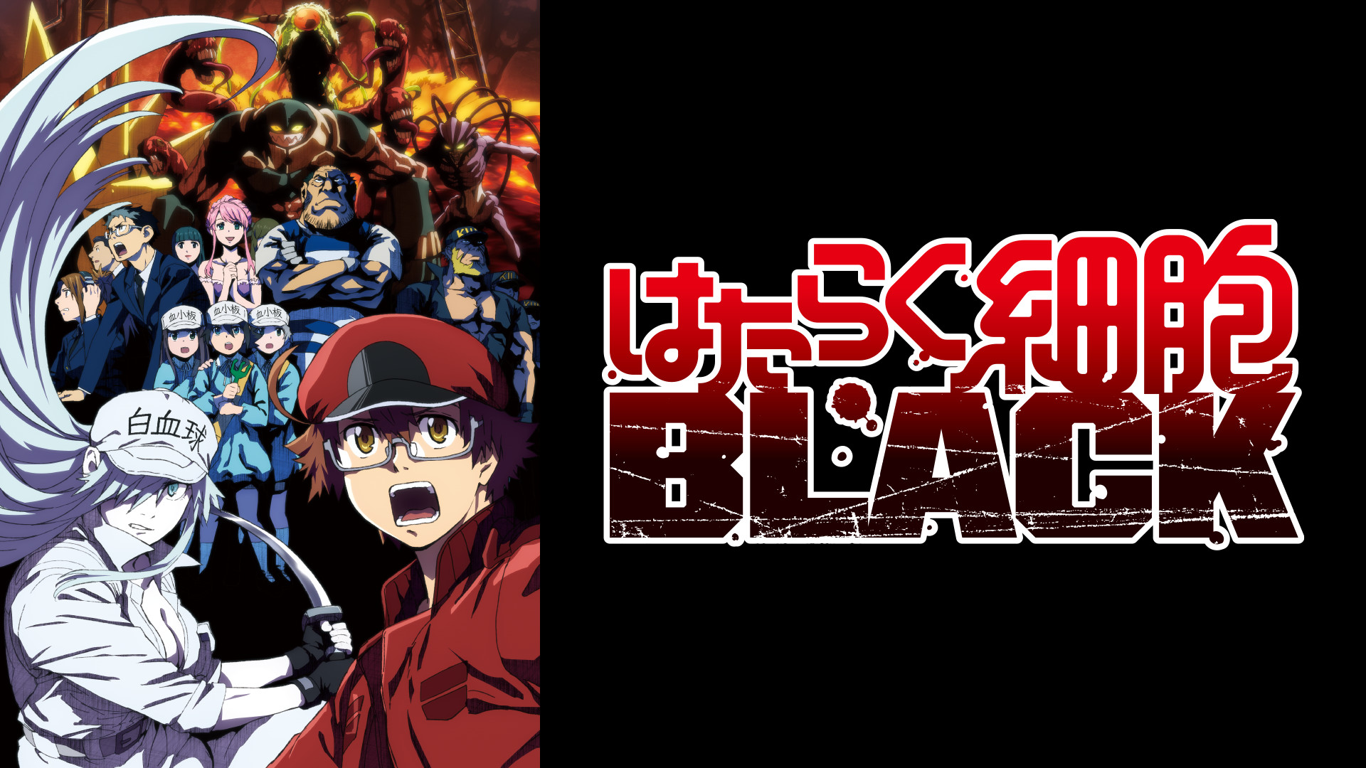 はたらく細胞BLACK - dアニメストア キービジュアル