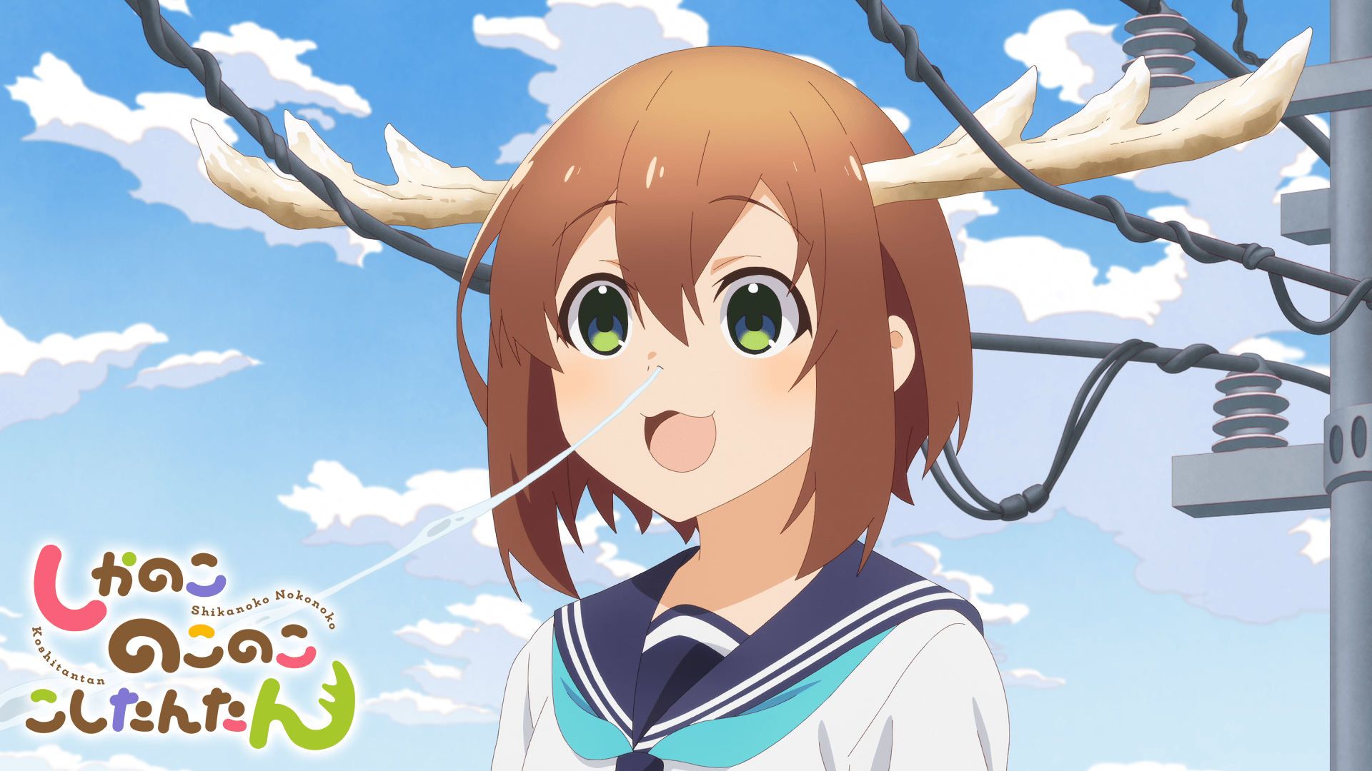 しかのこのこのここしたんたん