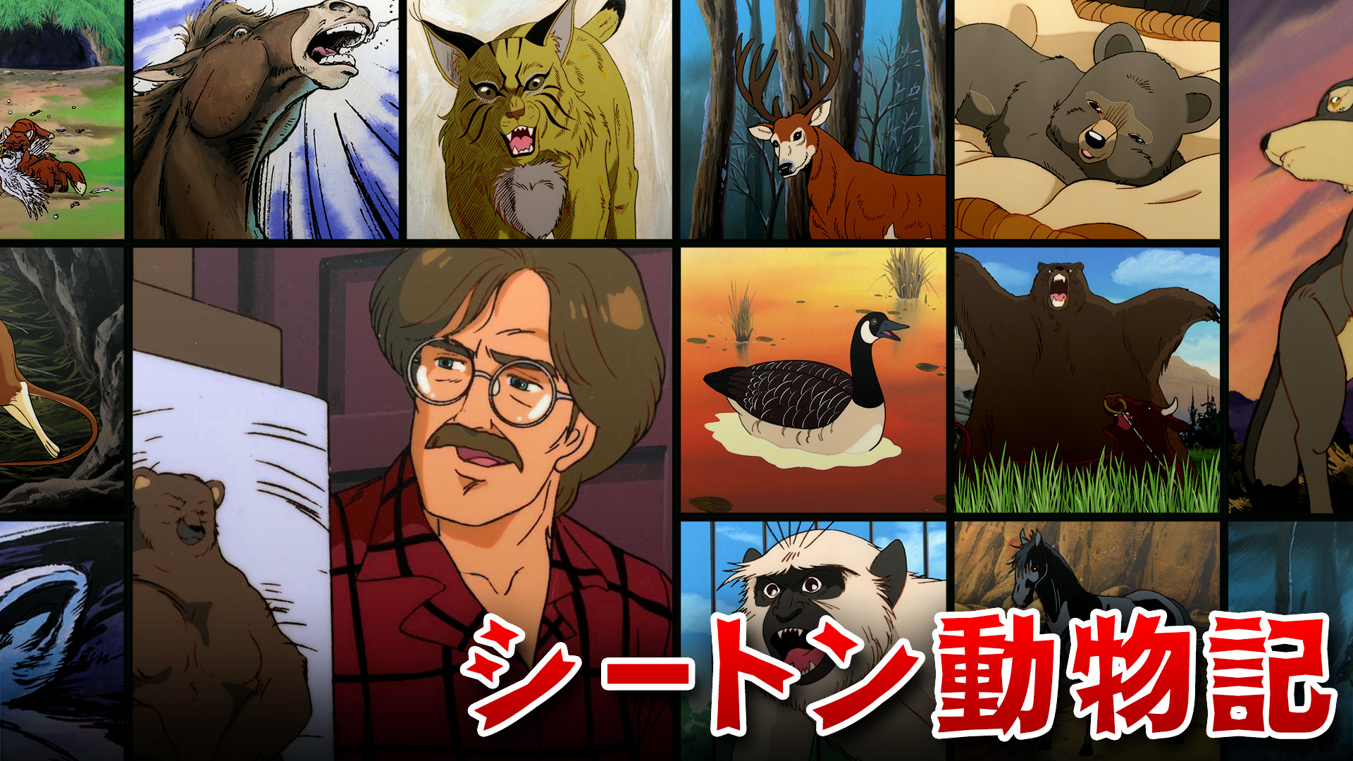 シートン動物記 - dアニメストア キービジュアル