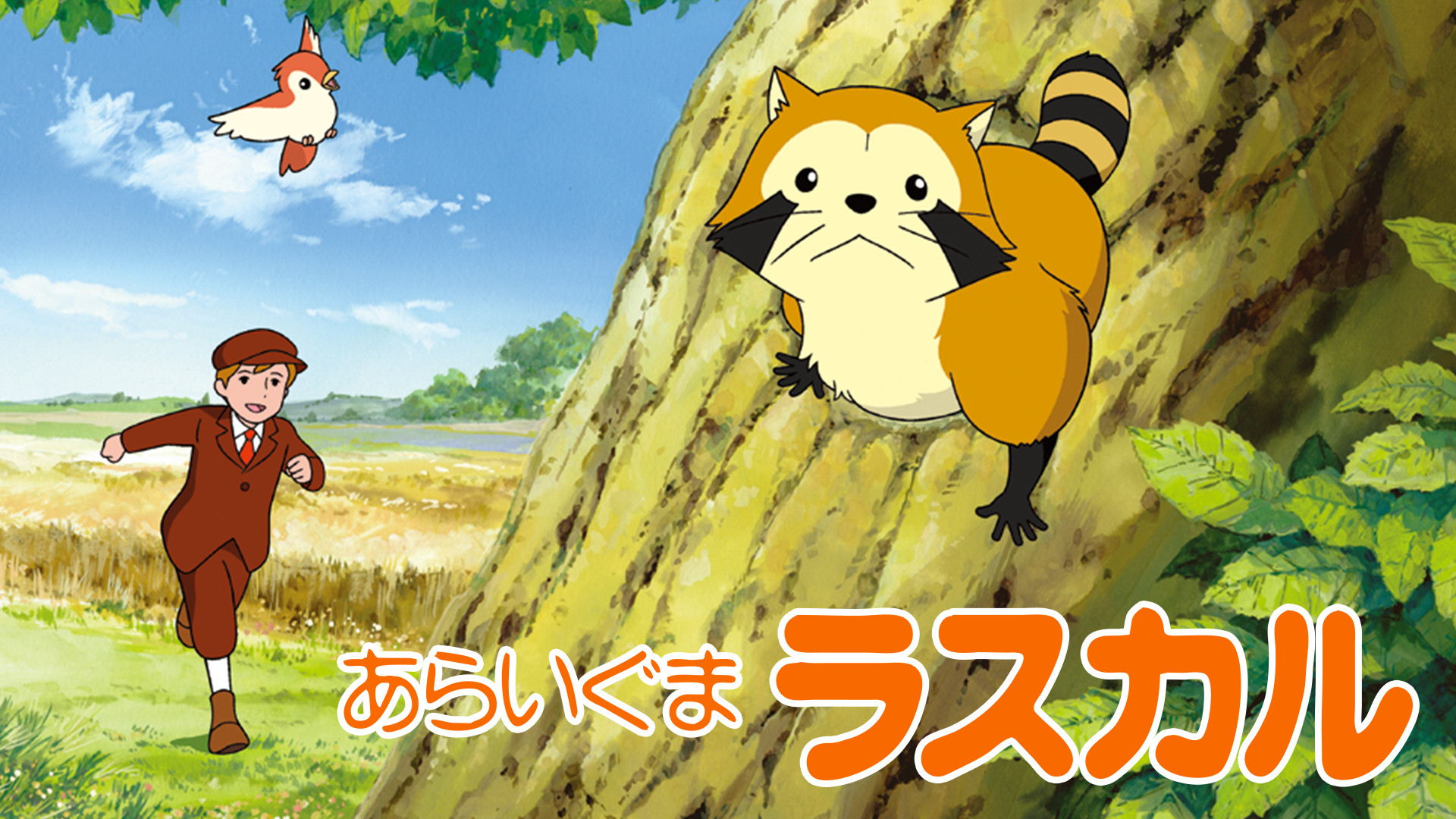 あらいぐまラスカル - dアニメストア キービジュアル