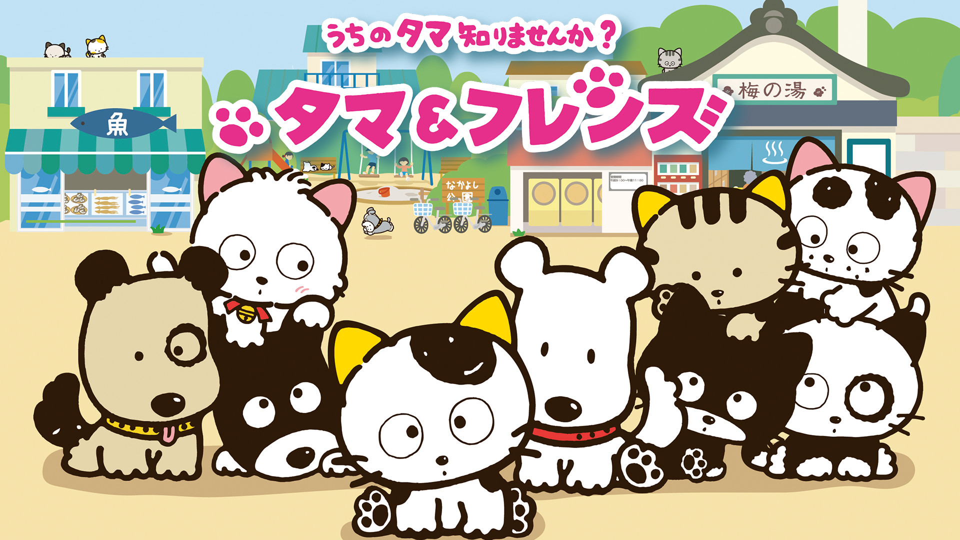 タマ＆フレンズ～うちのタマ知りませんか？～ - dアニメストア キービジュアル