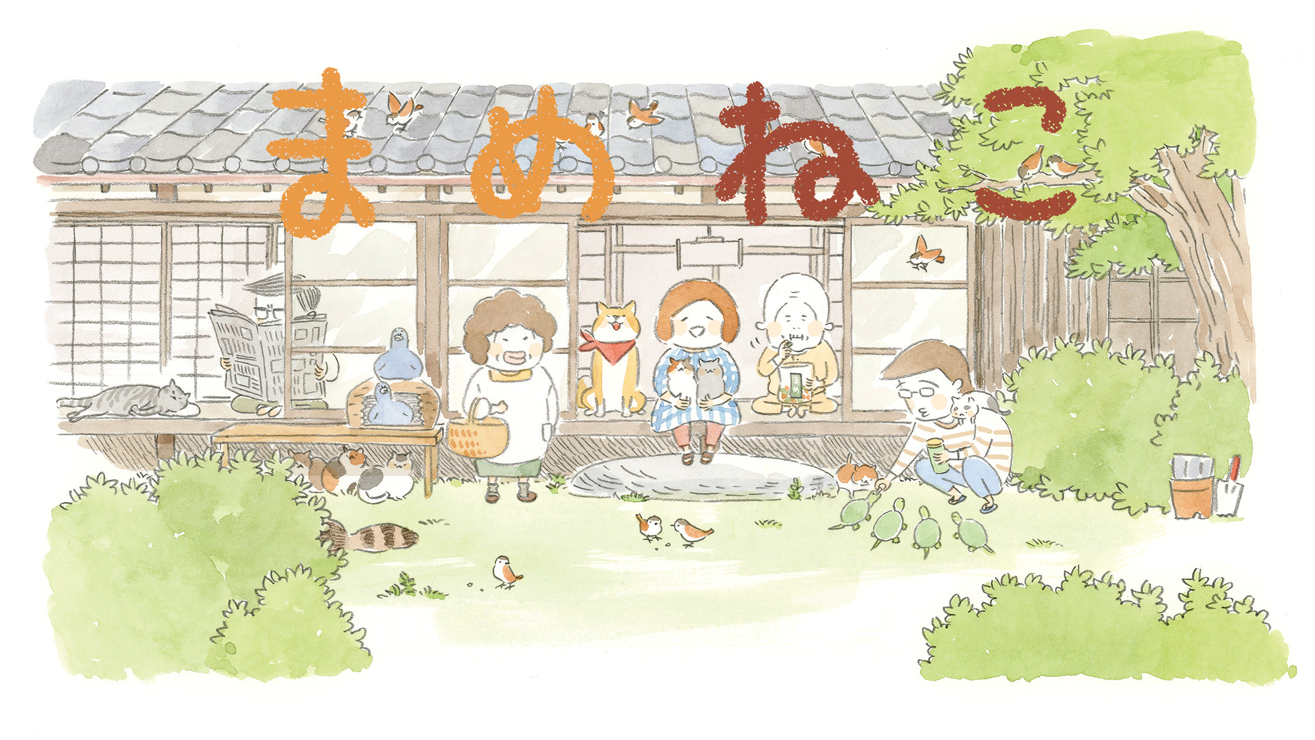 まめねこ - dアニメストア キービジュアル