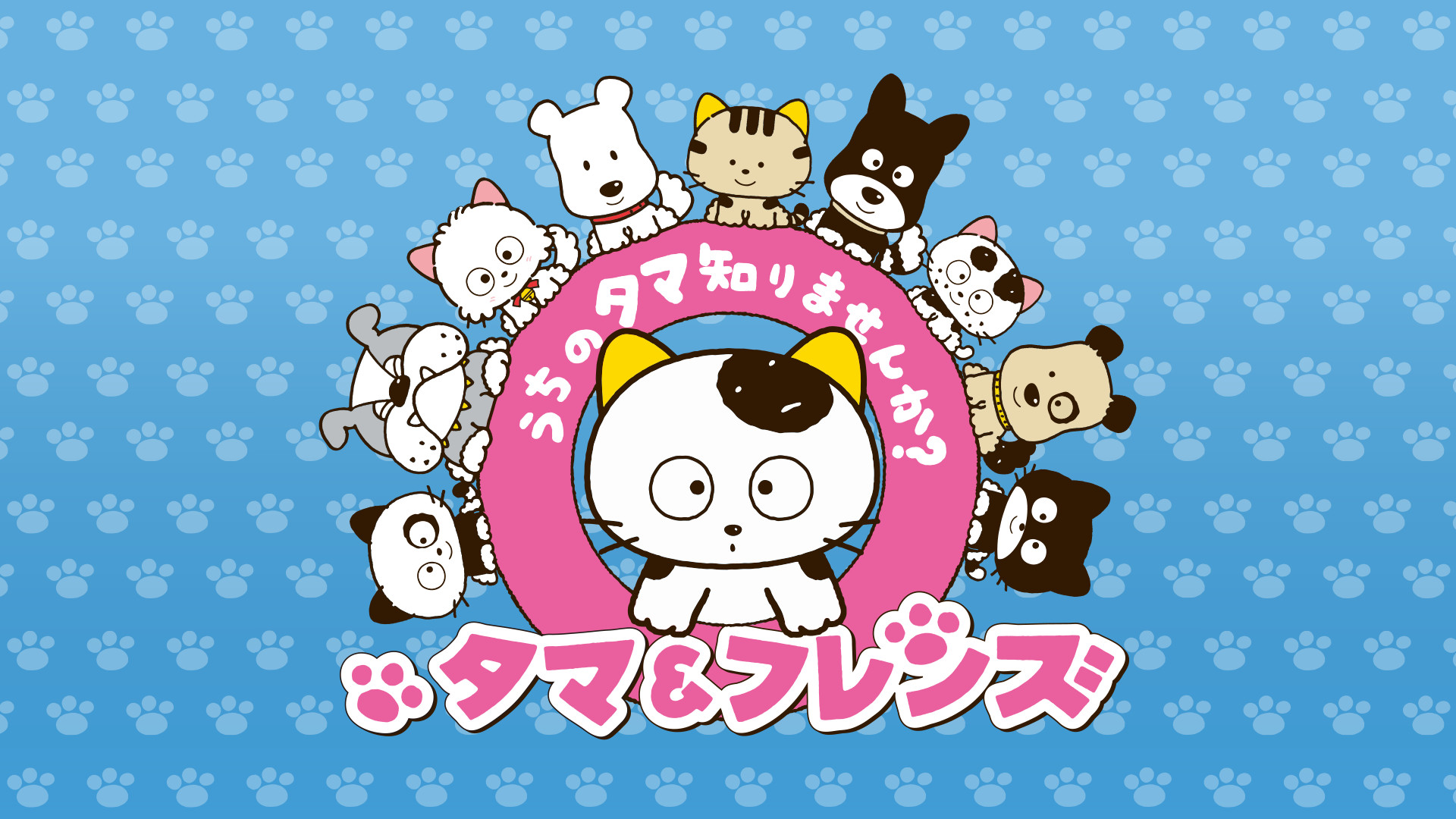 タマ&フレンズ~うちのタマ知りませんか?~ シーズン2 - dアニメストア キービジュアル