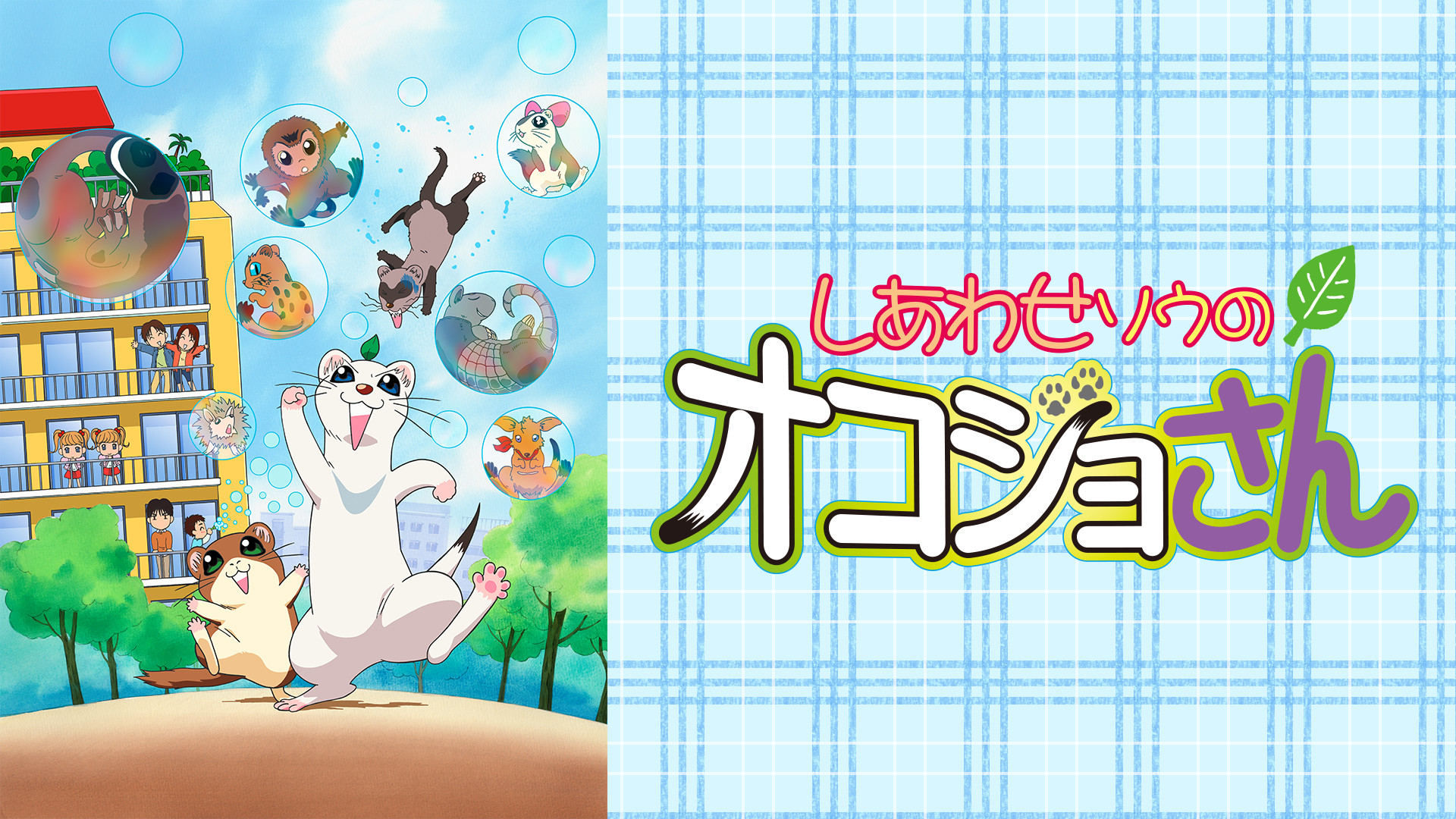 しあわせソウのオコジョさん - dアニメストア キービジュアル