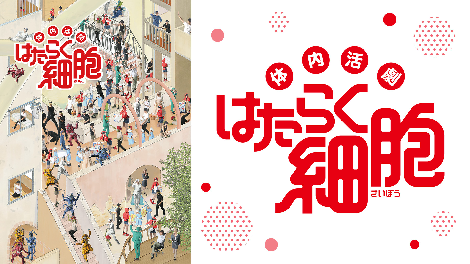 体内活劇「はたらく細胞」 - dアニメストア キービジュアル