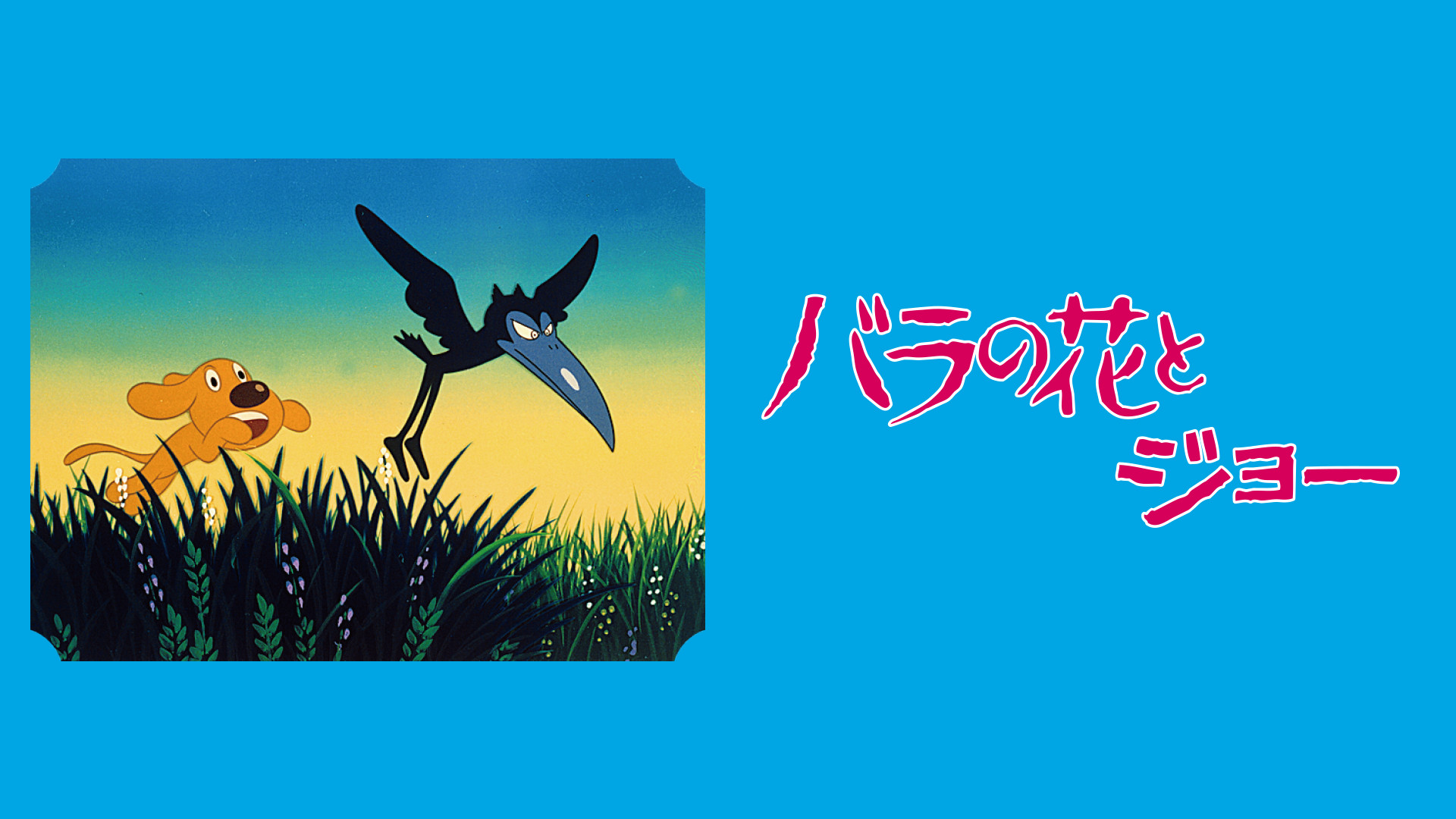 バラの花とジョー - dアニメストア キービジュアル