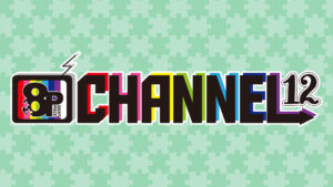 8P channel 12