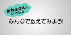 フカシギの数え方