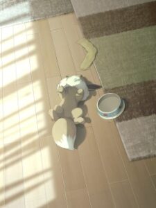 ポケ起き