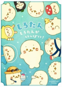 しろたん しろたんがいっぱい!