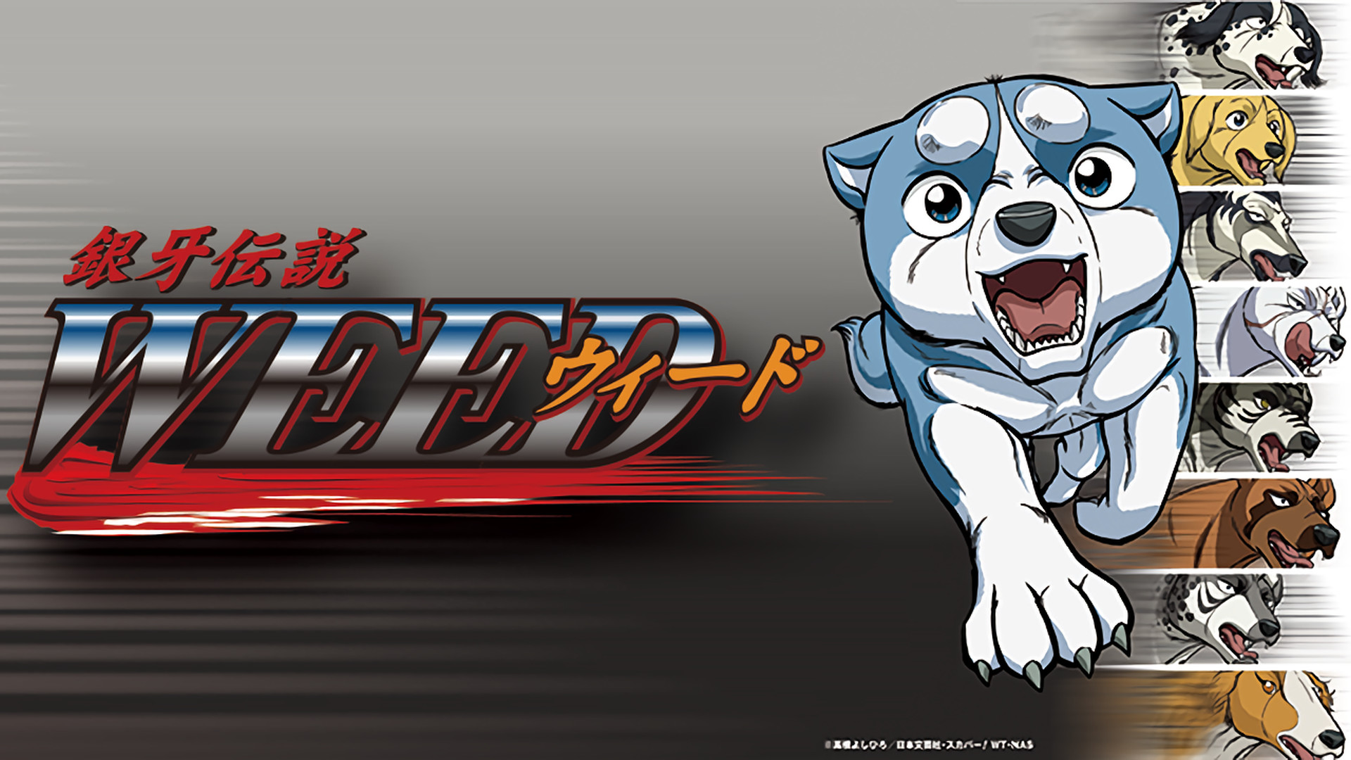 銀牙伝説WEED（ウィード） キービジュアル