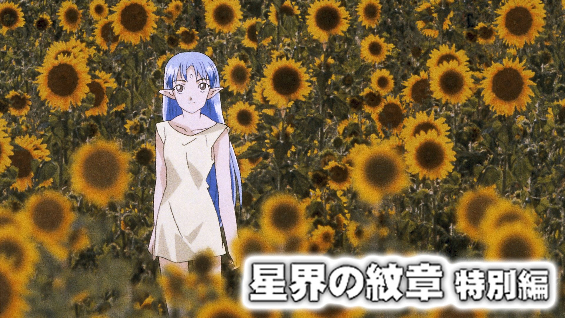 星界の紋章　特別編 キービジュアル