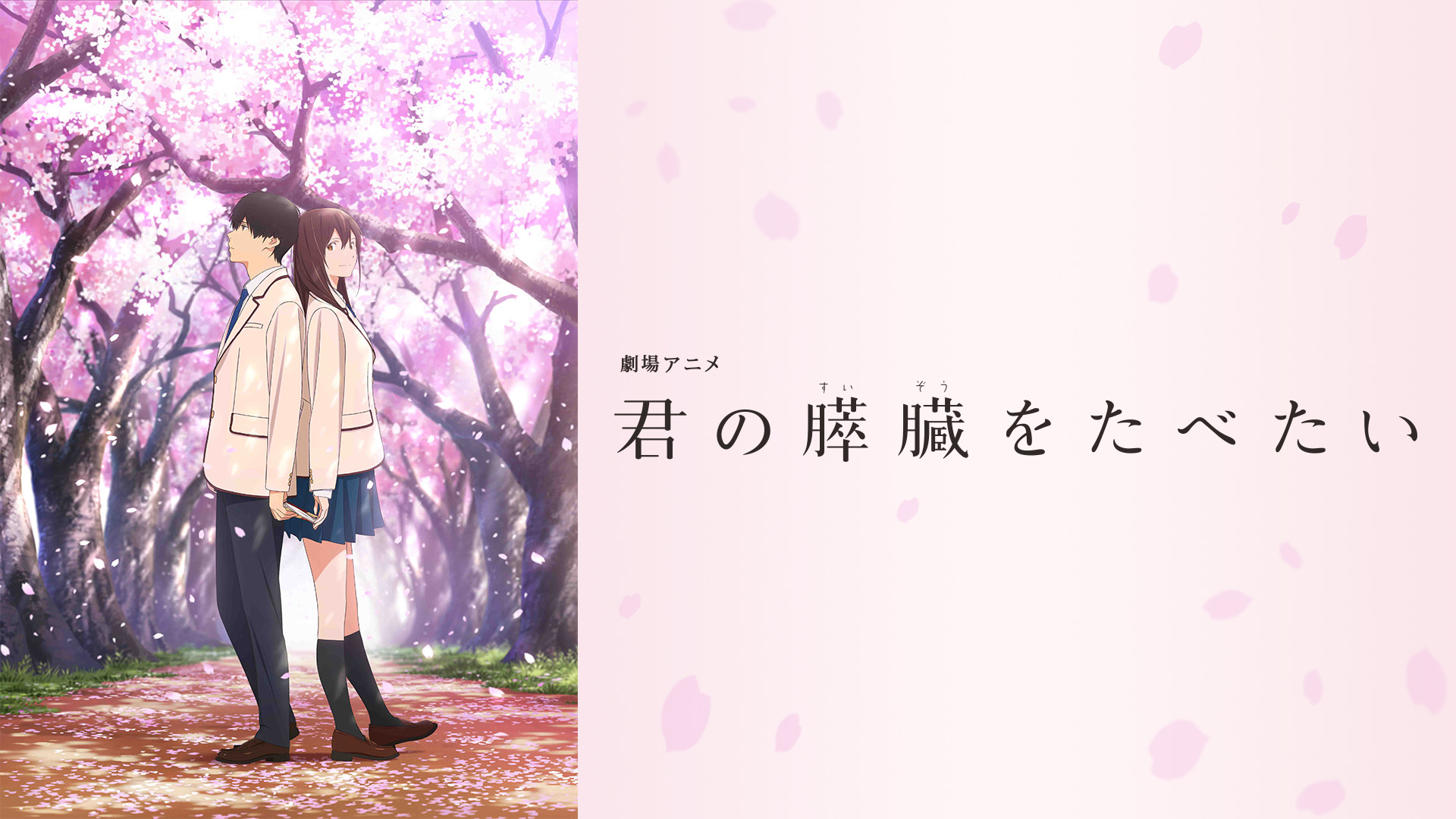 劇場アニメ「君の膵臓をたべたい」 キービジュアル