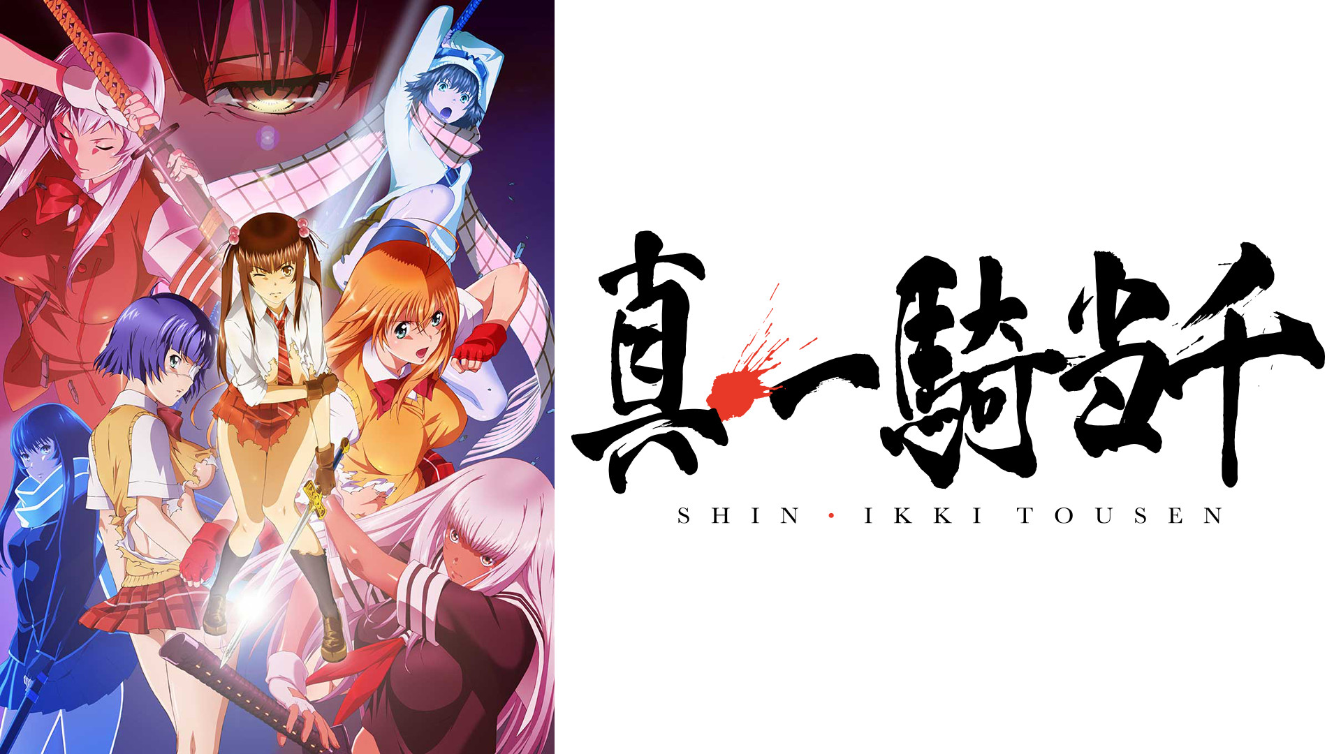 真・一騎当千 キービジュアル