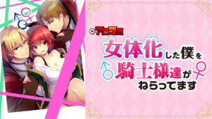 アニコミ「女体化した僕を騎士様達がねらってます」1期＆2期