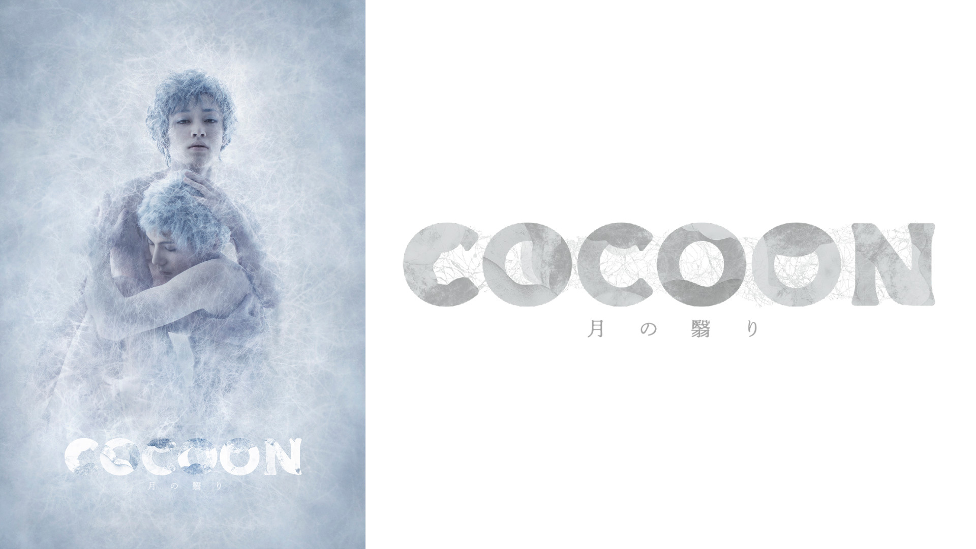 『COCOON』月の翳り(TRUMPシリーズ) キービジュアル