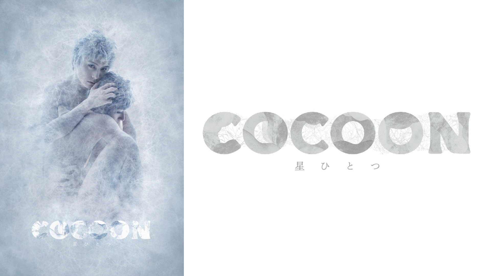 『ＣＯＣＯＯＮ』星ひとつ（TRUMPシリーズ） キービジュアル