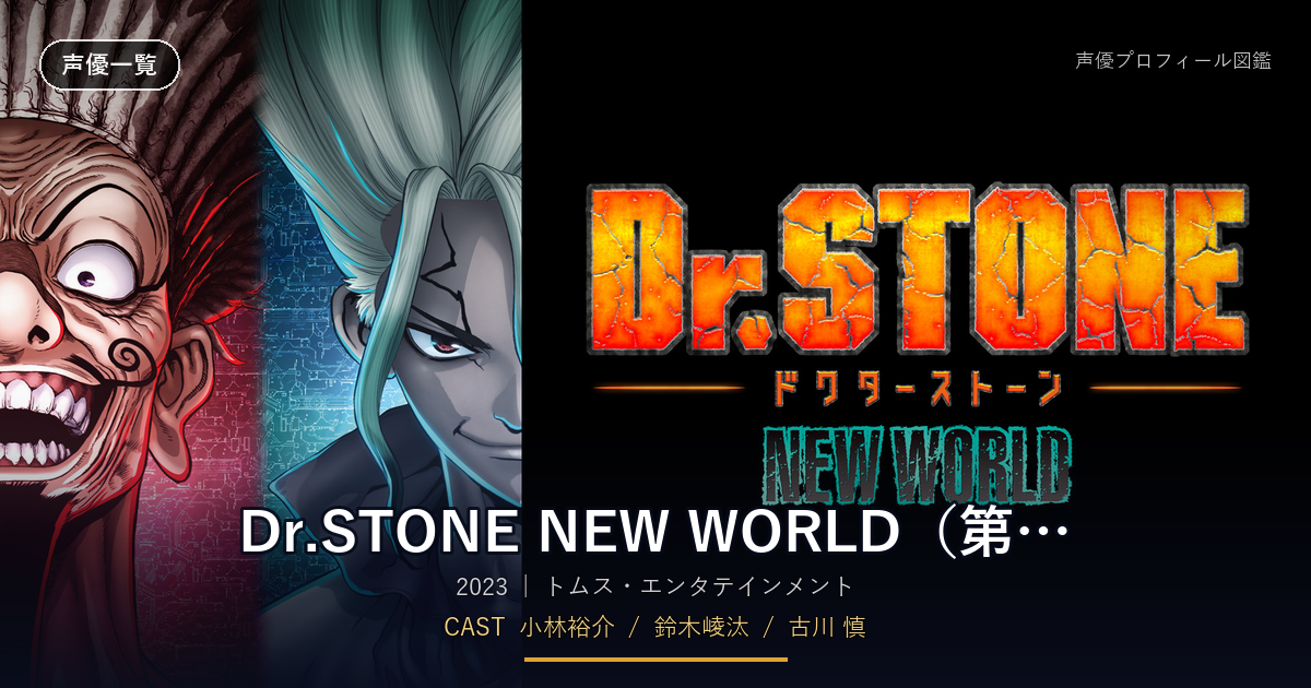 Dr.STONE NEW WORLD(第3期)